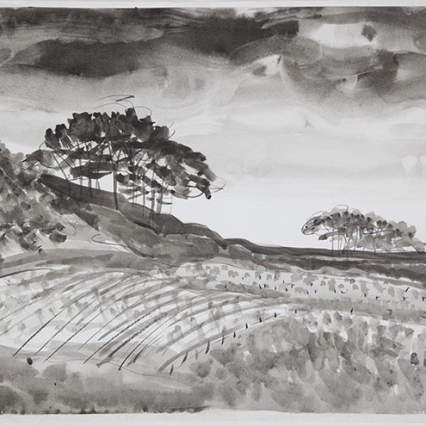 Paisaje Campo agrícola